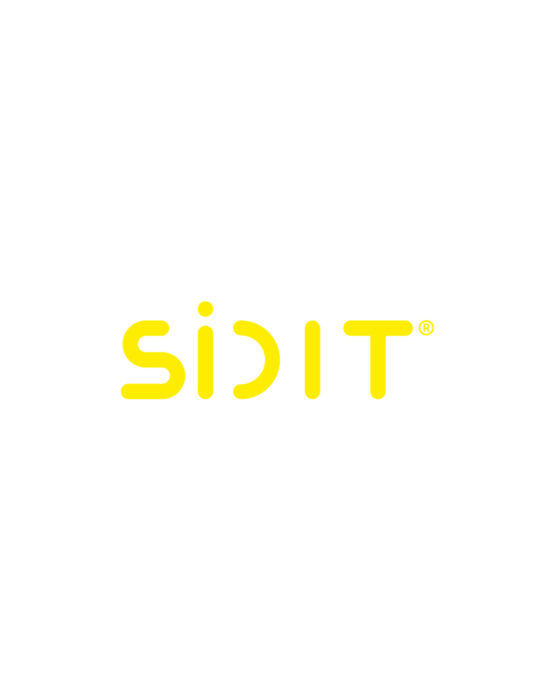 Logogestaltung SiDIT