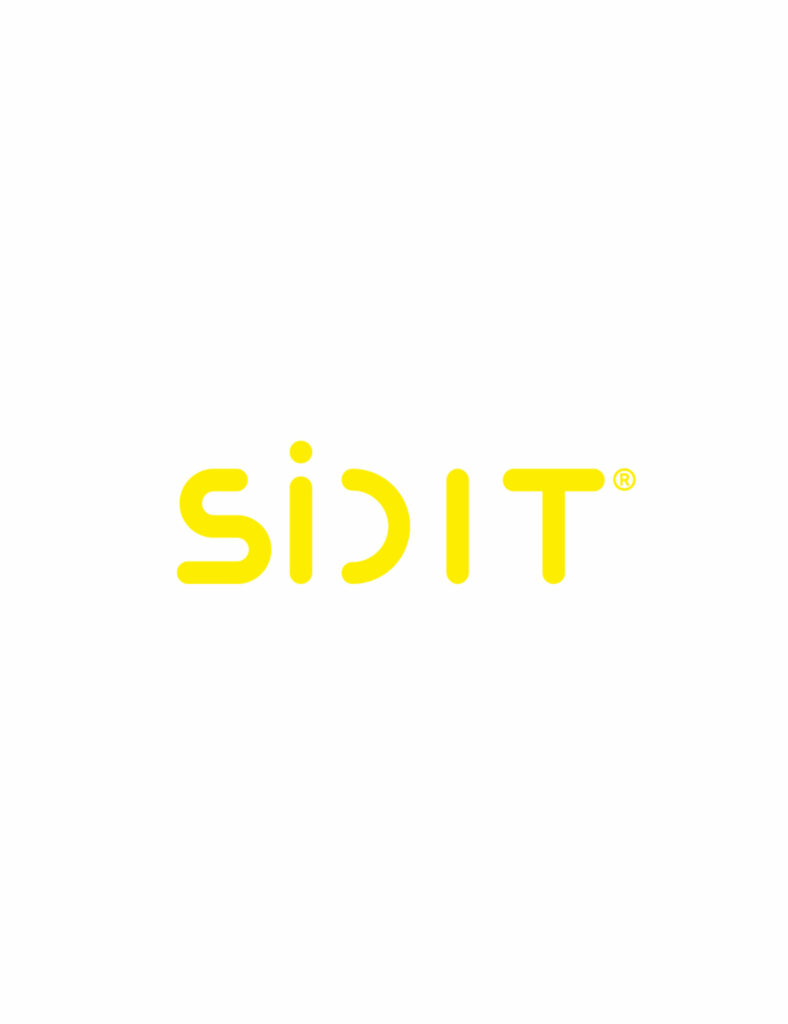 SiDIT-Logogestaltung-B-scaled